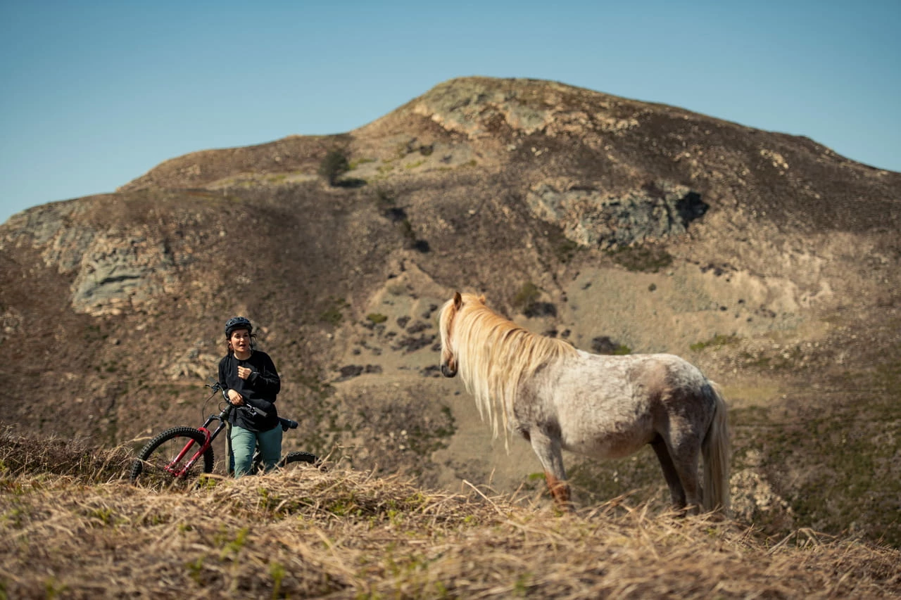 Santa Cruz Bronson 4 C MX XT Gloss Moss Et Blue – Image 6