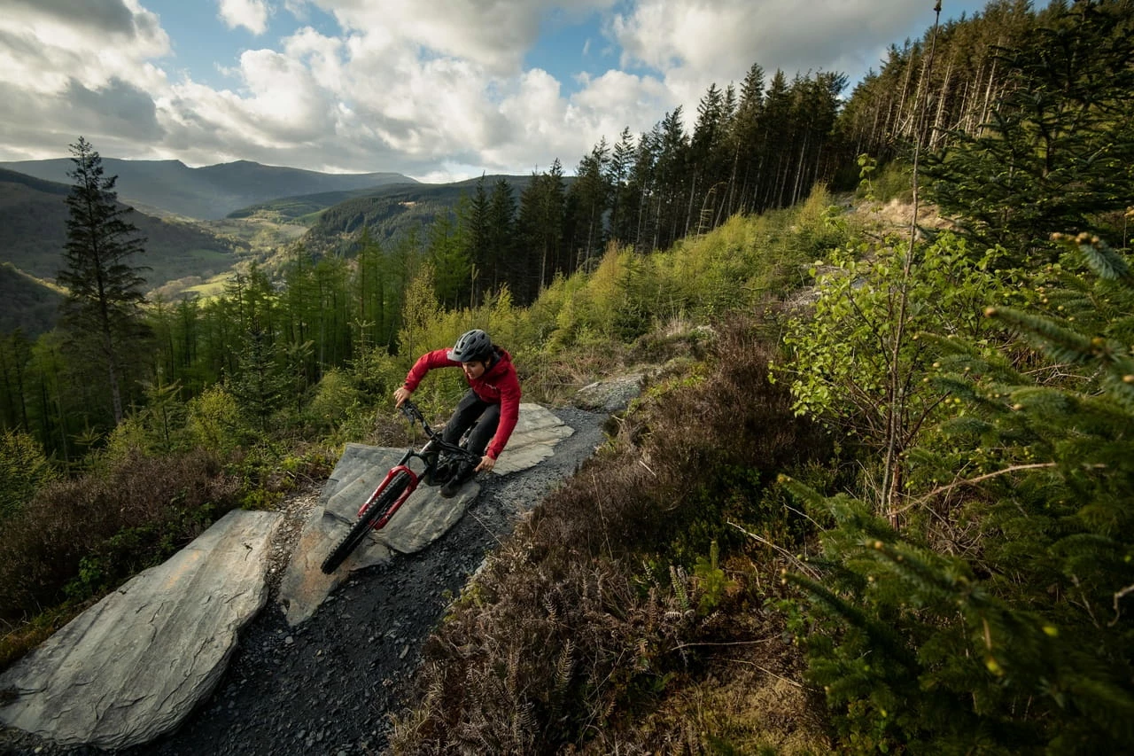 Santa Cruz Bronson 4 C MX XT Gloss Moss Et Blue – Image 3