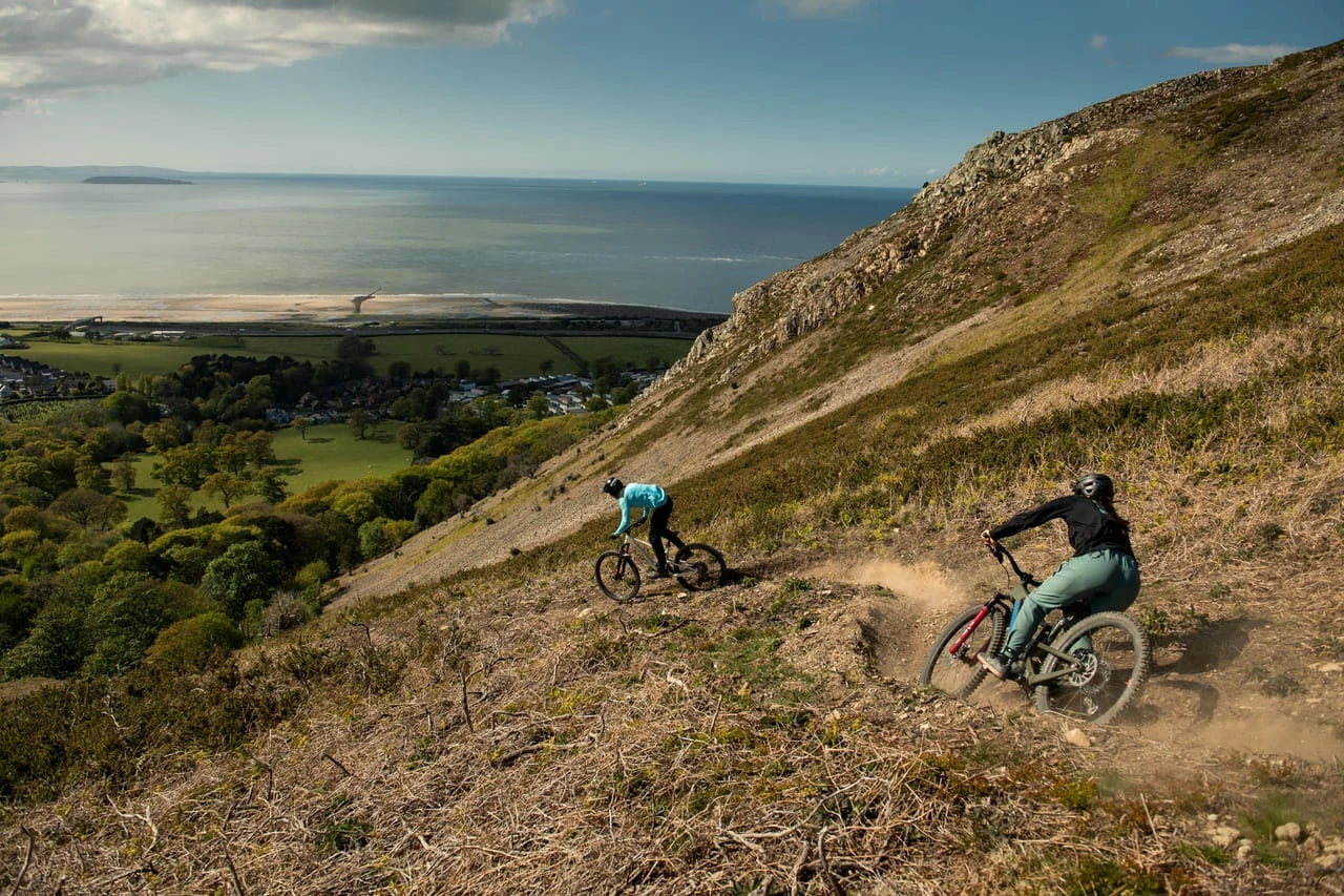 Santa Cruz Bronson 4 C MX XT Gloss Moss Et Blue – Image 7